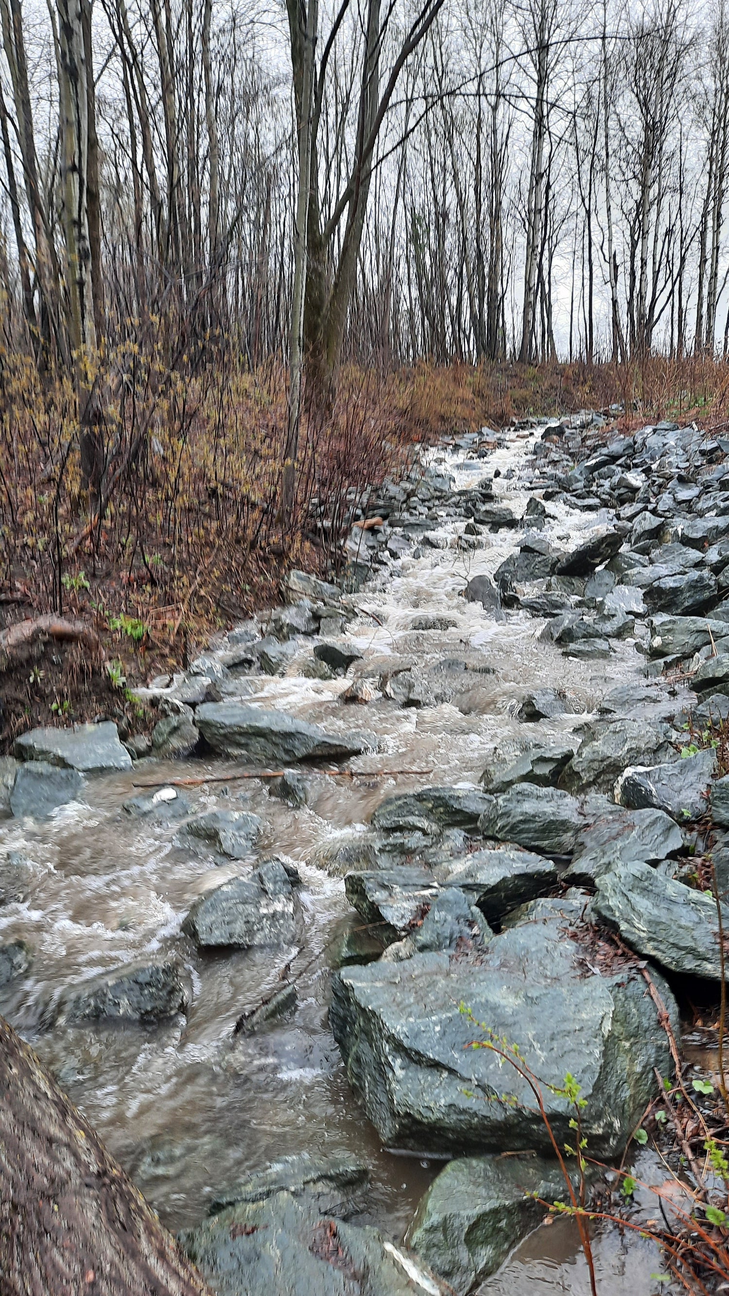 30 Avril 2021 La Pluie