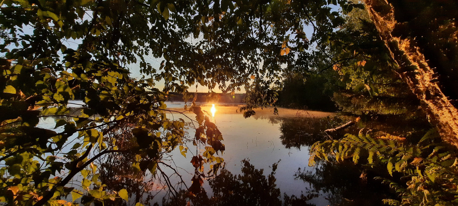 Lever Soleil Indirect Du 20 Septembre 2021 6H49 Sherbrooke (Vue Île)