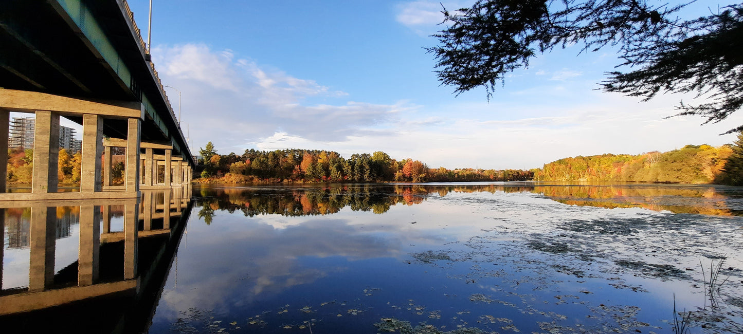 (5 Photos) Le Pont Jacques Cartier De Sherbrooke Comme Vous Ne Lāavez Jamais Vu Lāautomne!!! 10