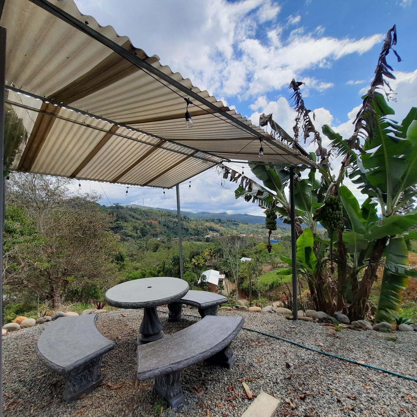 Canto Del Rio (5β) π