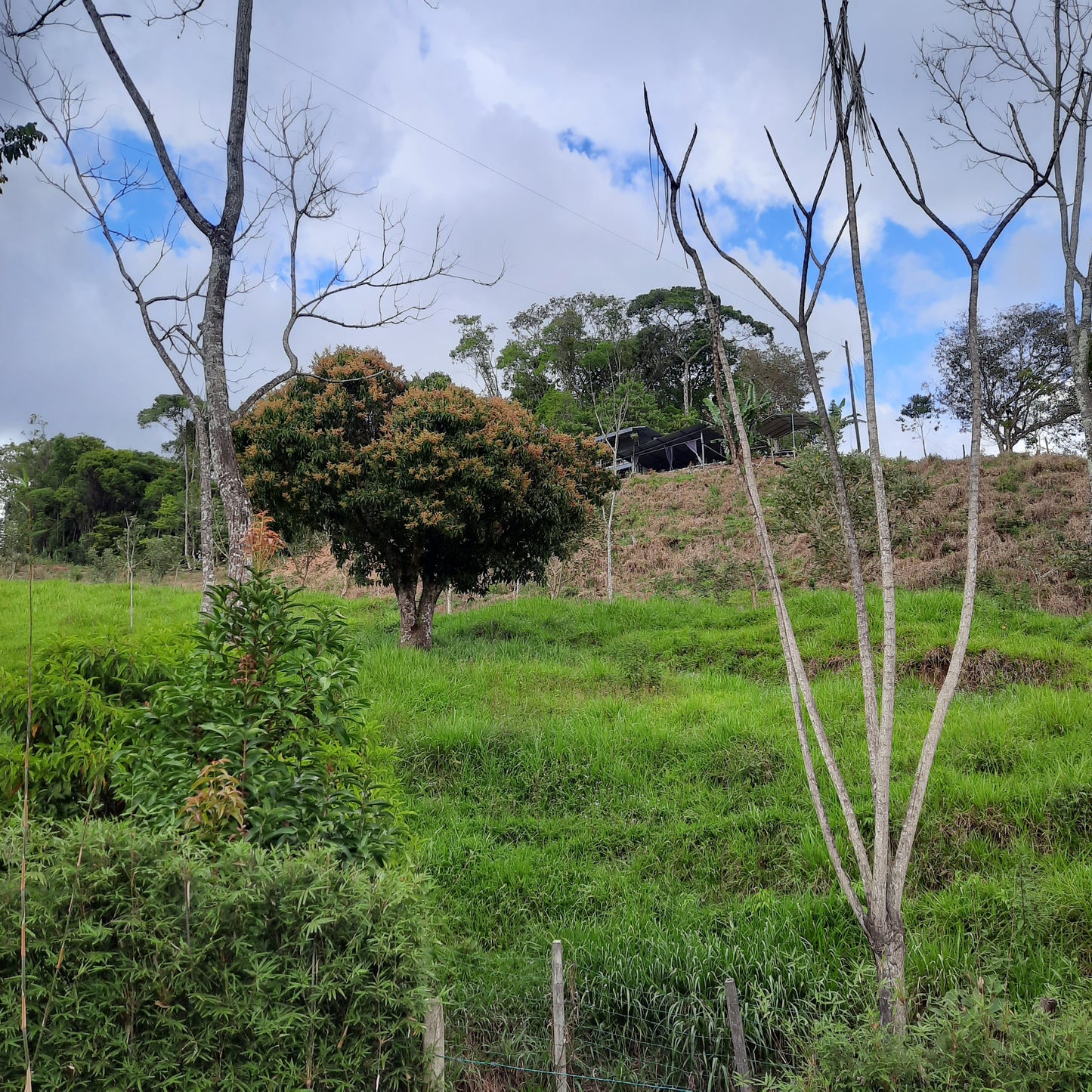 Canto Del Rio (5β) π