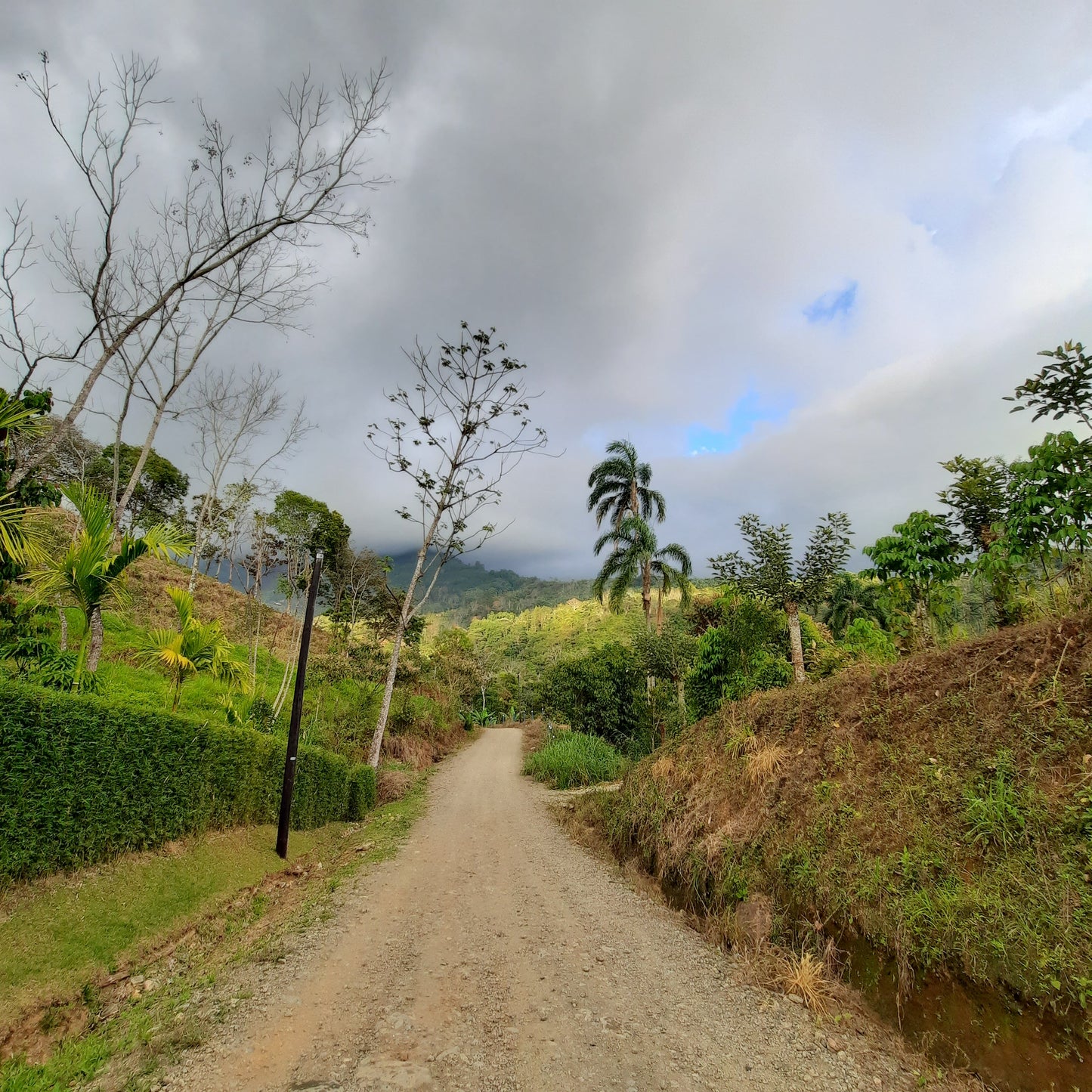 Canto Del Rio (5β) π