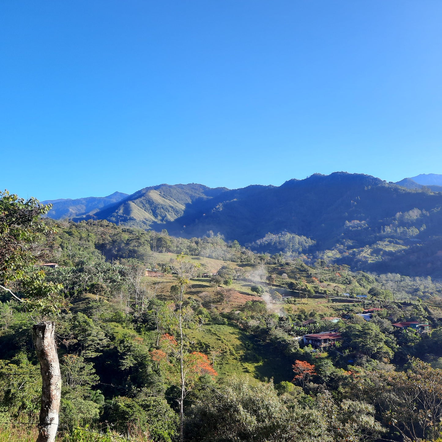 Canto Del Rio (5β) π