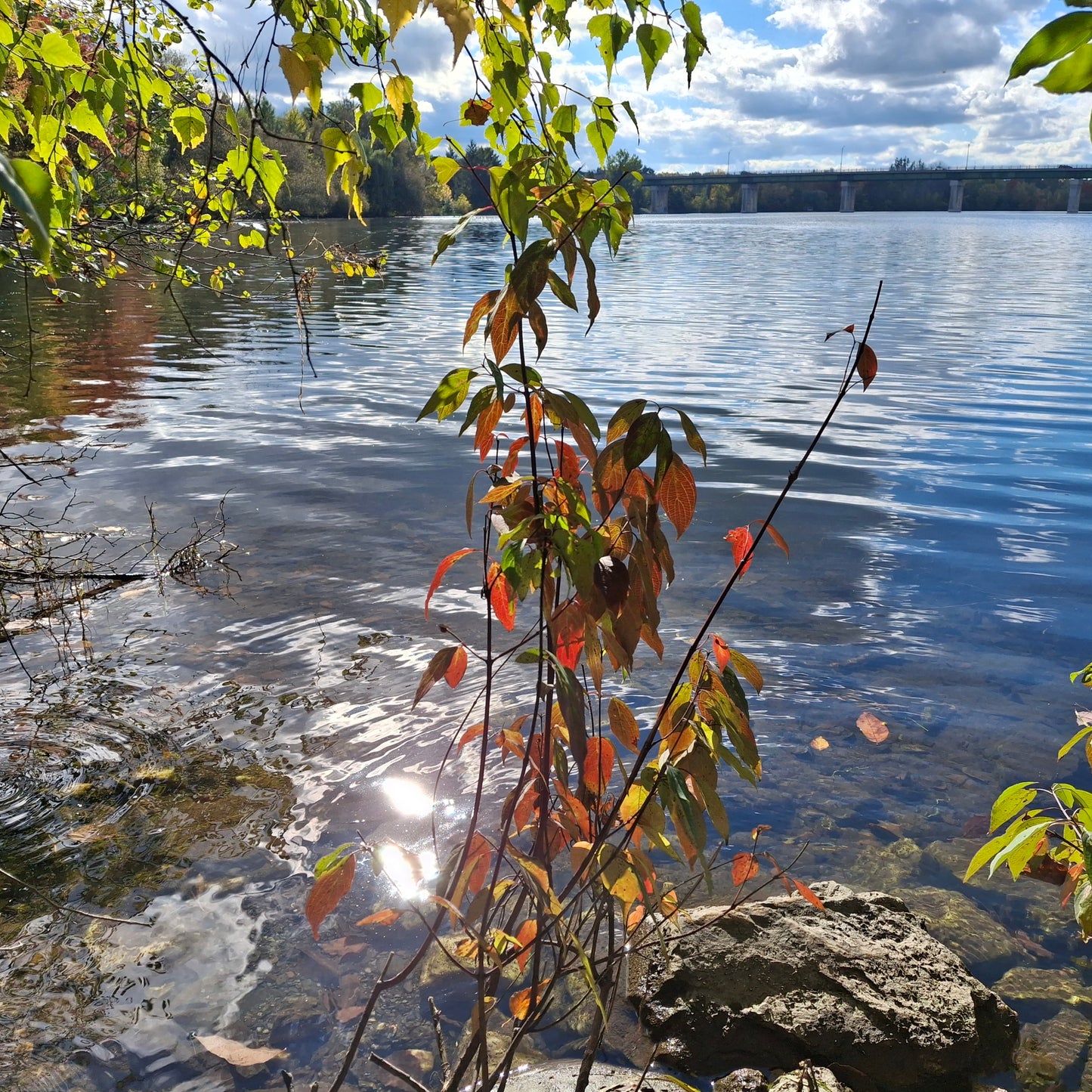 2024-09-29 (View 1.2)