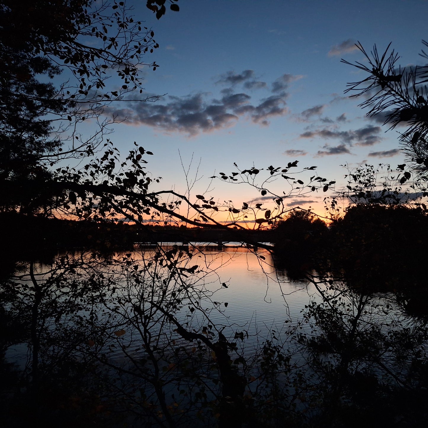2024-10-01 18:59 October Twilight (View 2.3)