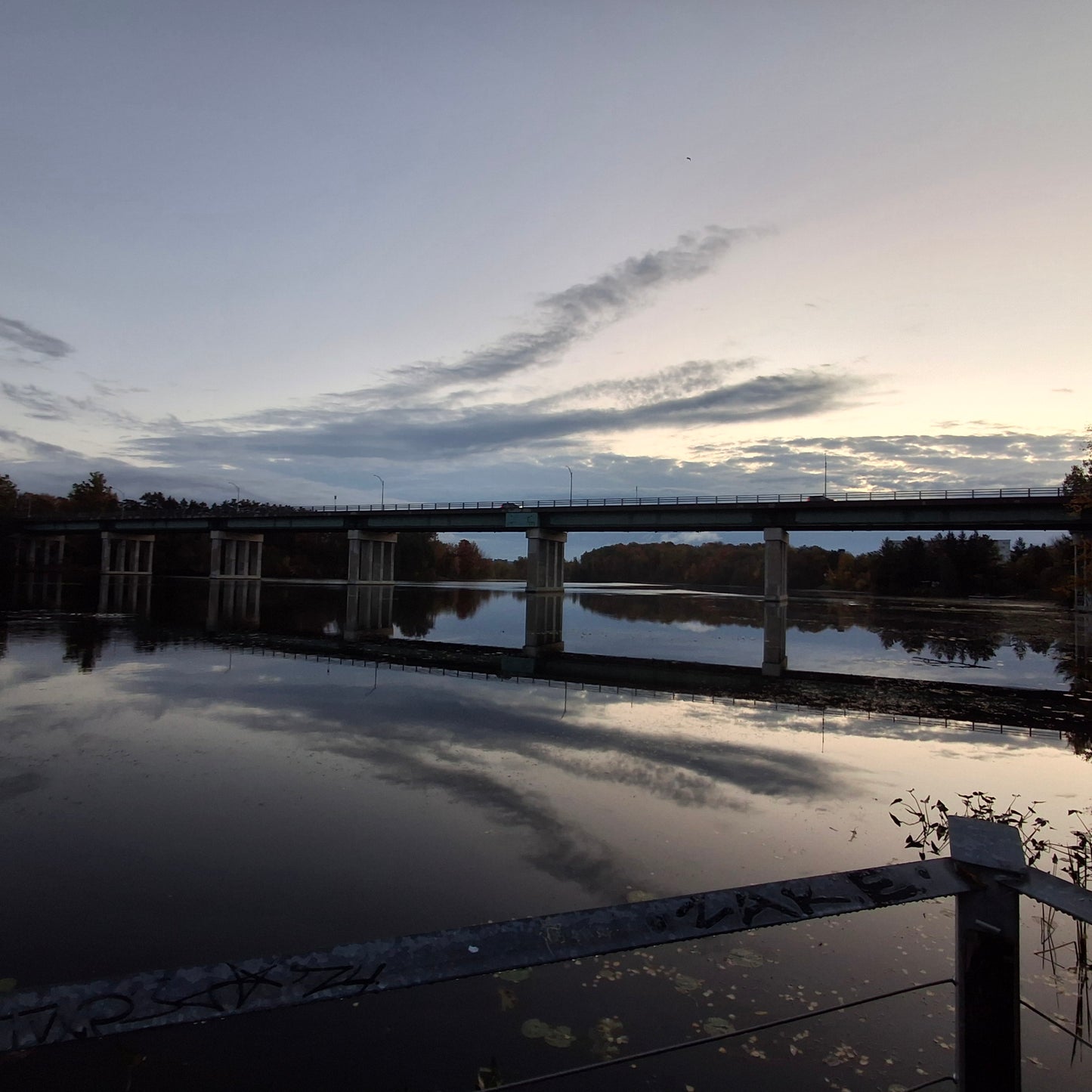 2024-10-05 06:43 (View T1)