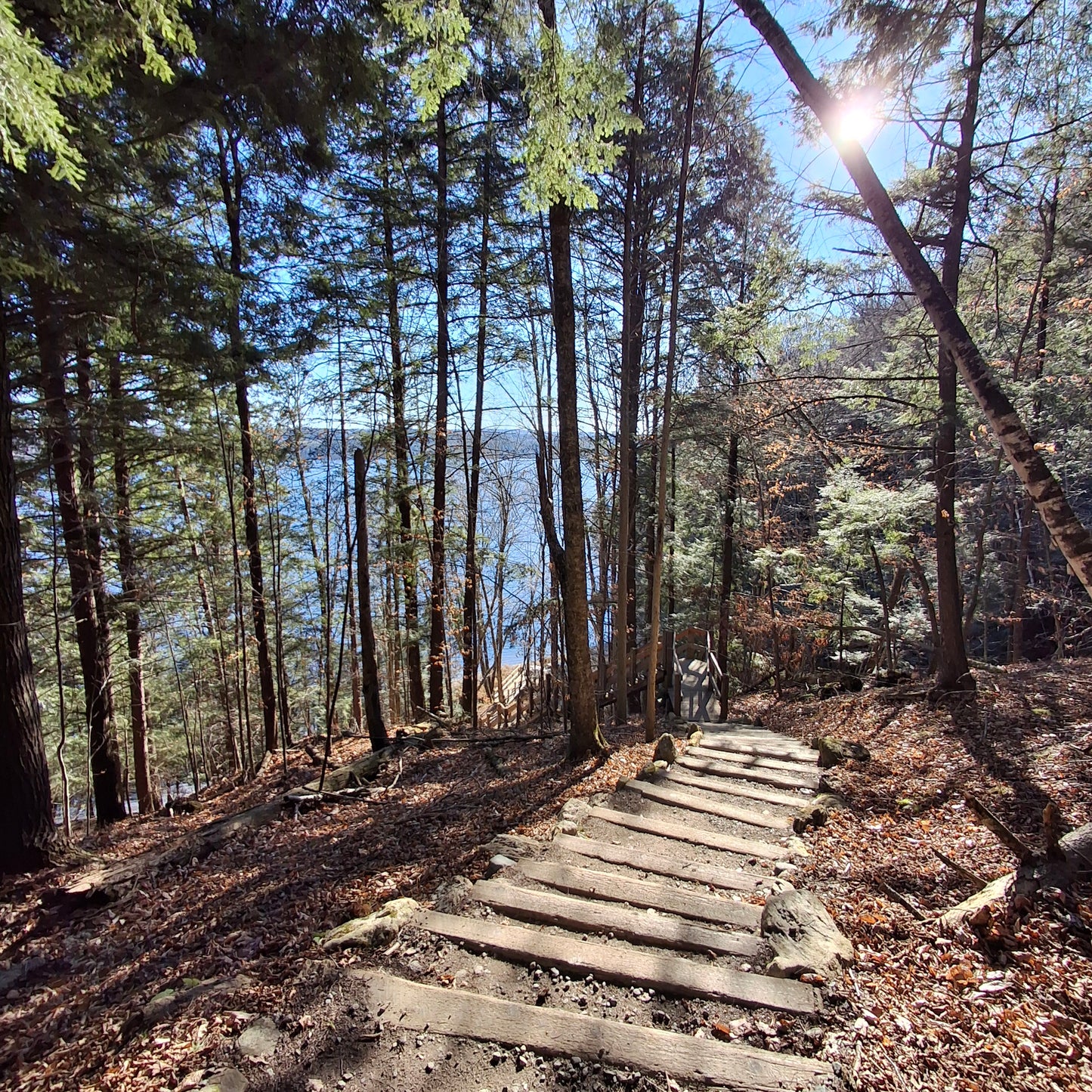 2024-11-17 10:14 Massawippi Trails (Ethan Beach View)