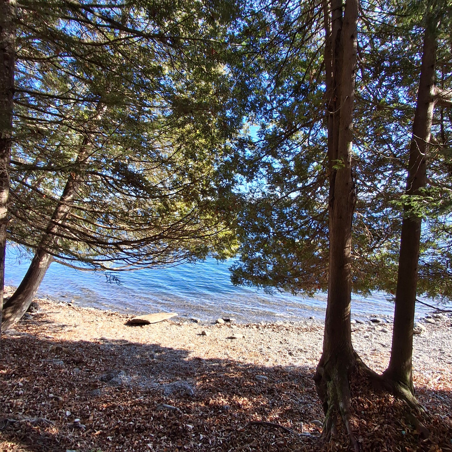 2024-11-17 10:14 Massawippi Trails (Ethan Beach View)