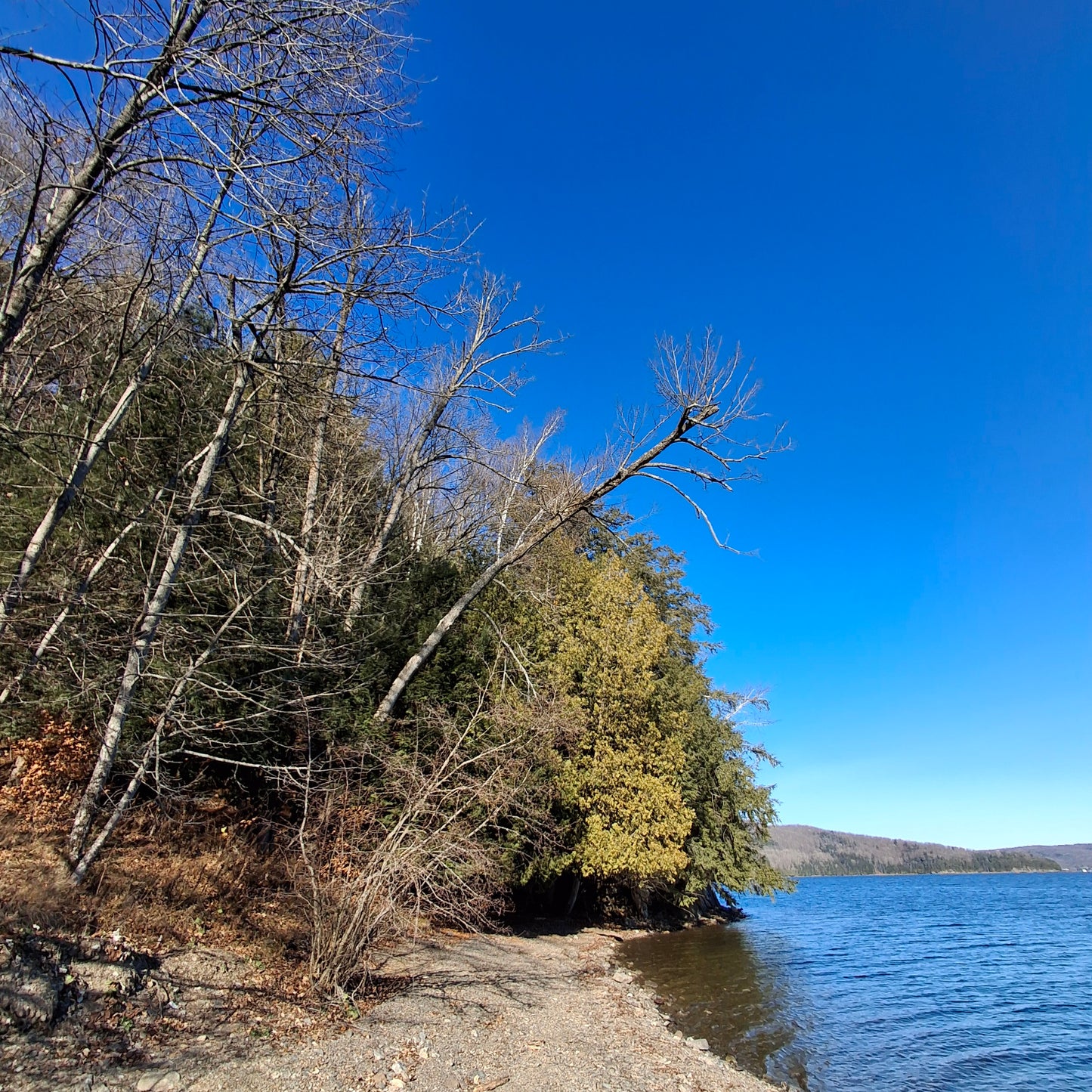 2024-11-17 10:14 Massawippi Trails (Ethan Beach View)