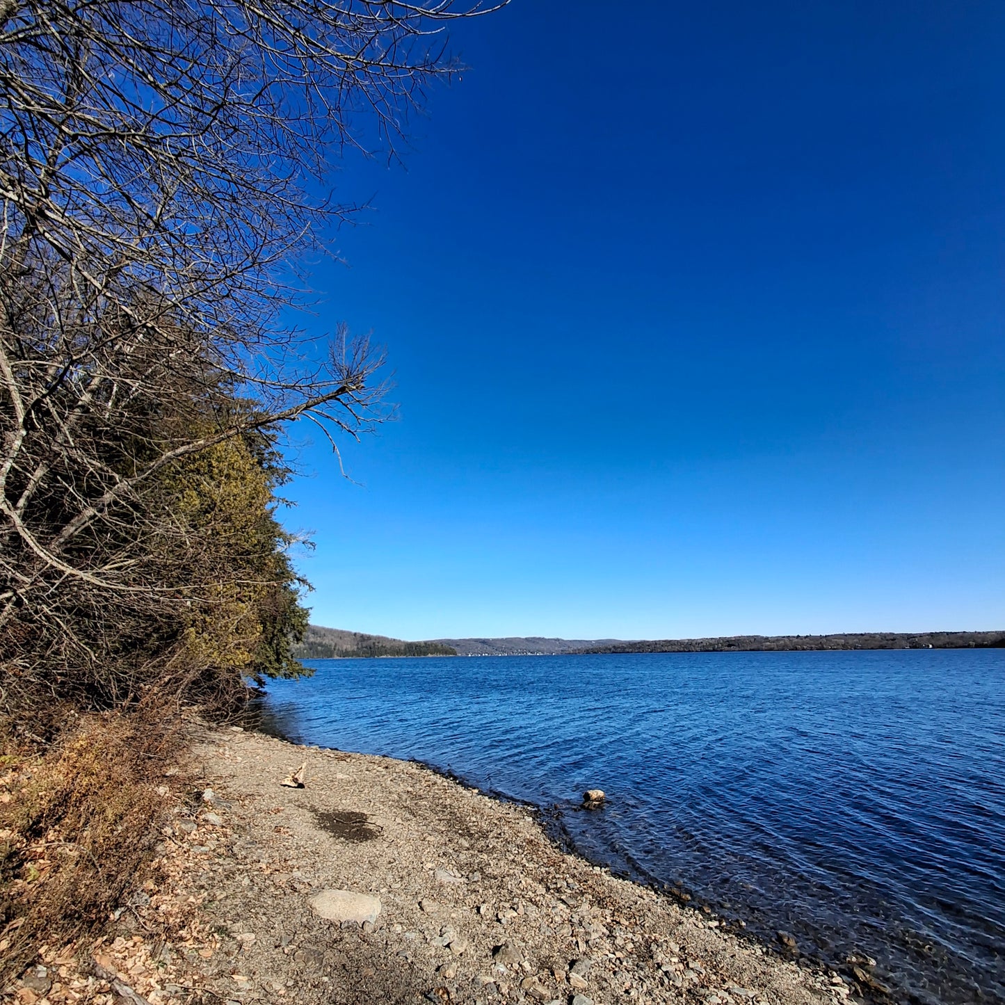 2024-11-17 10:14 Massawippi Trails (Ethan Beach View)