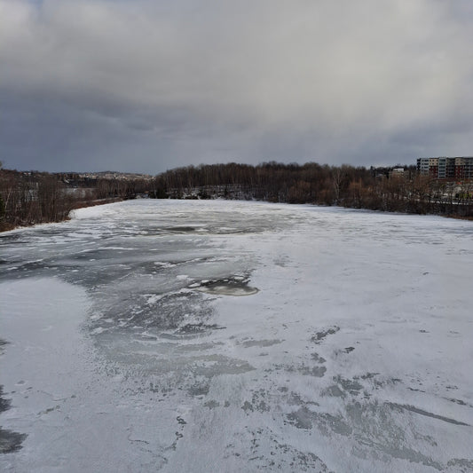 2025-12-21 (Vue Sure)