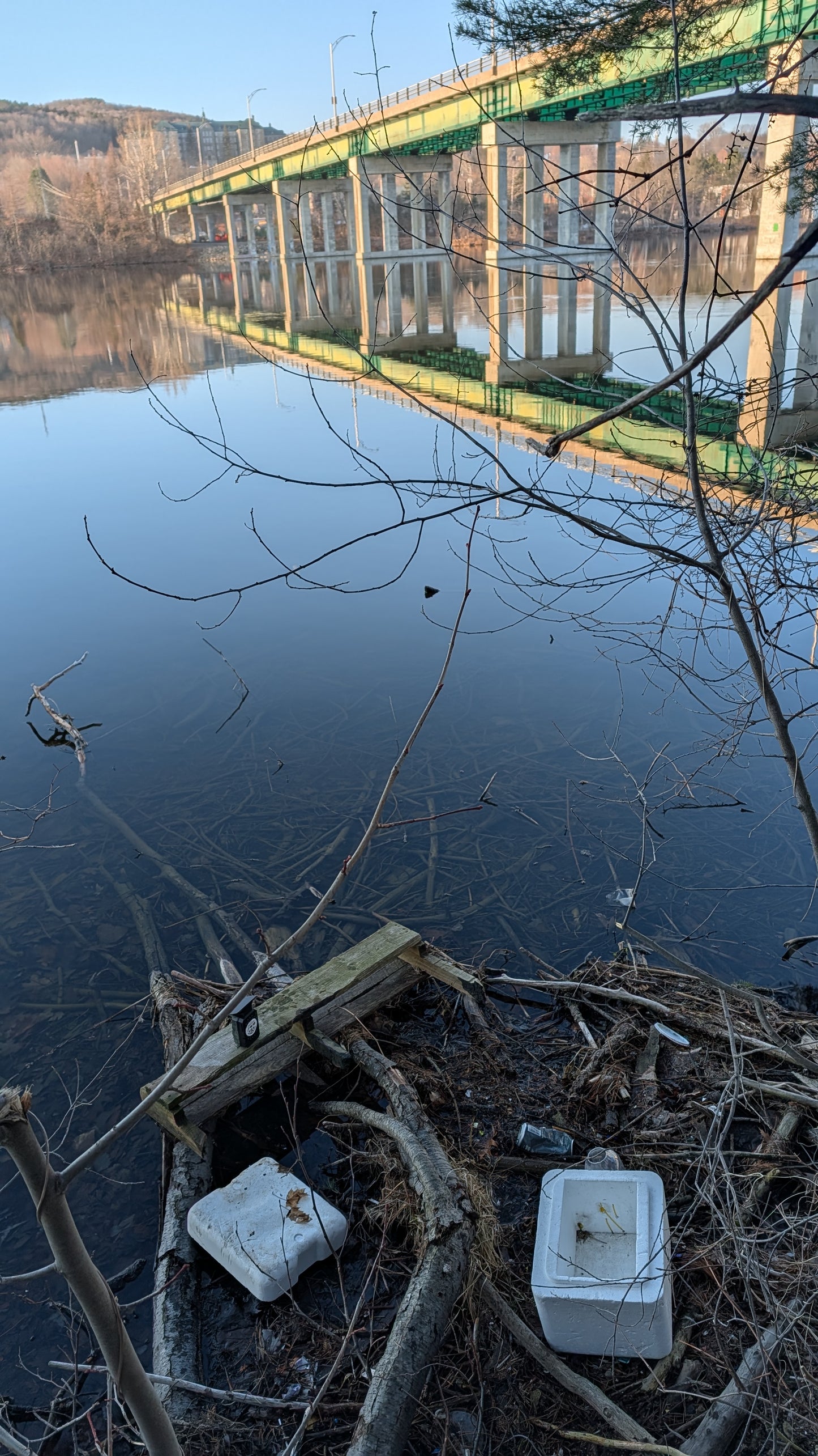 Find the number of images taken with the trail camera.