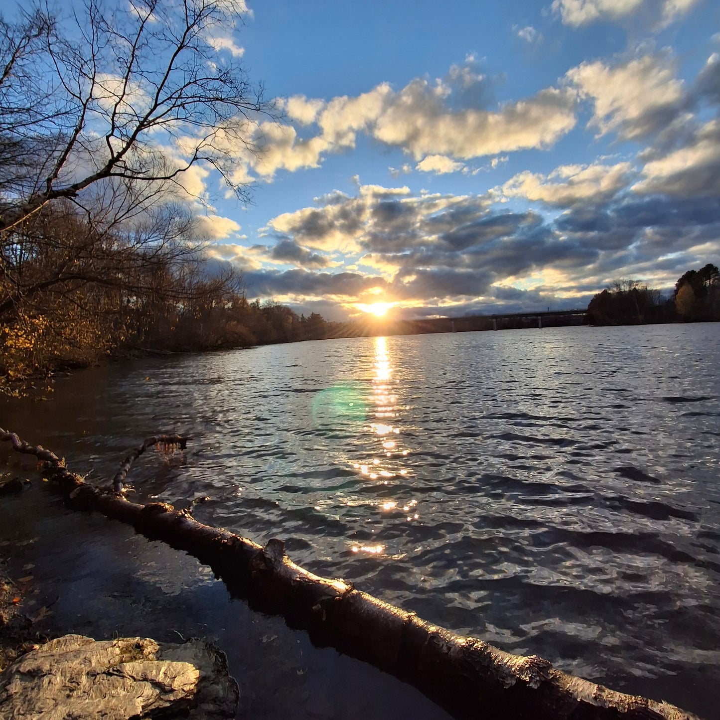 2025-11-08 16:00 (Vue 1)