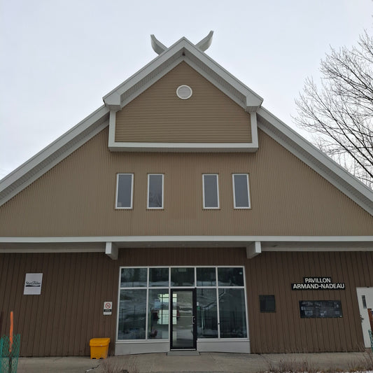 2025-12-20 (Vue Pavillon Armand Nadeau Sherbrooke)