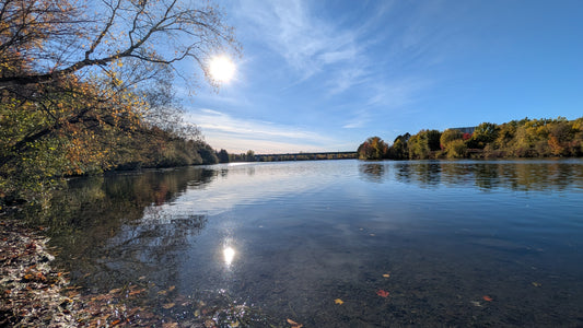 2026-10-10 15:52 (Vue 1)